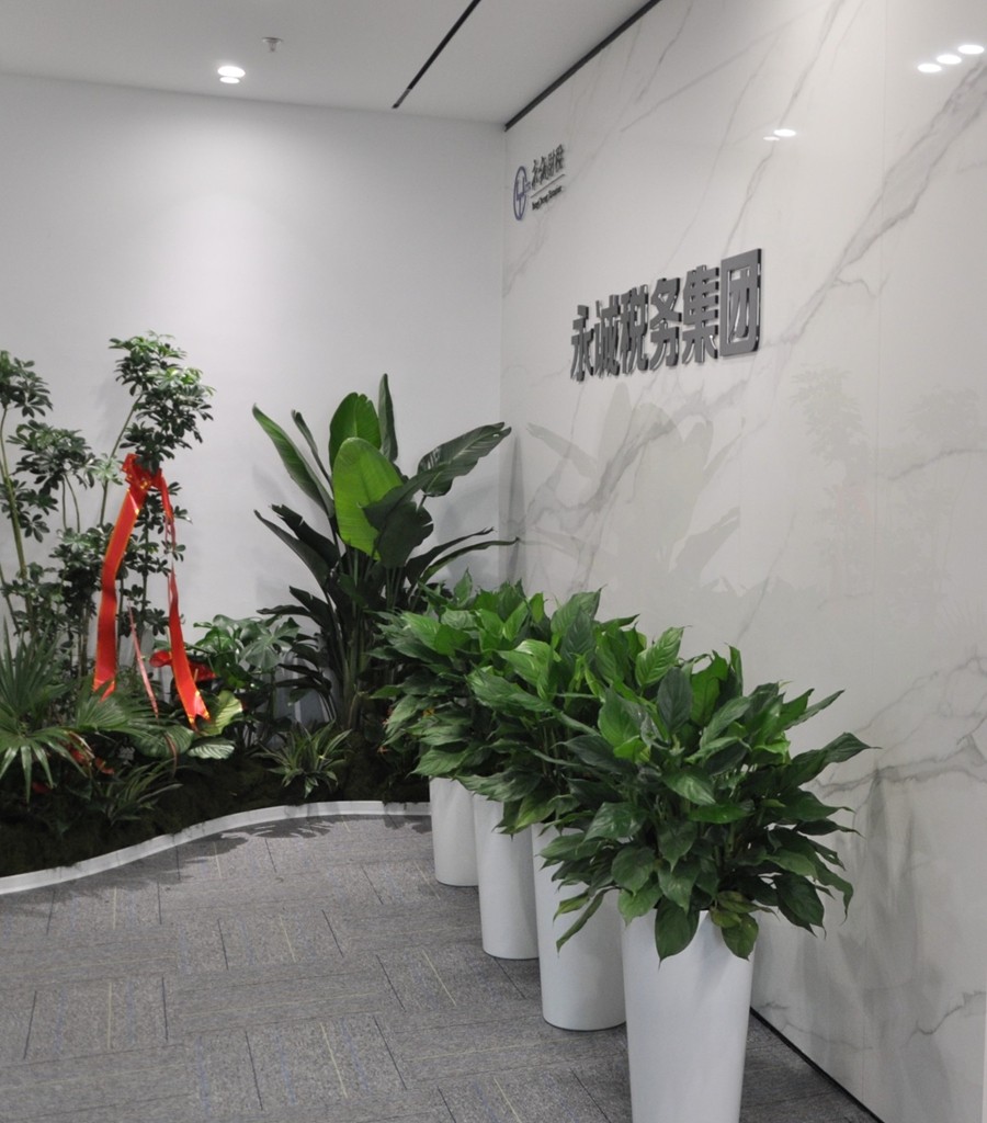 恭喜签约永城税务集团新办公室装修项目